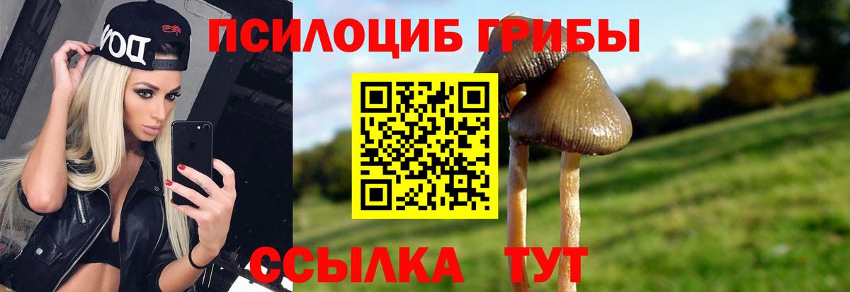Галлюциногенные грибы прущие грибы  хочу   Луховицы  Вход с VPN 